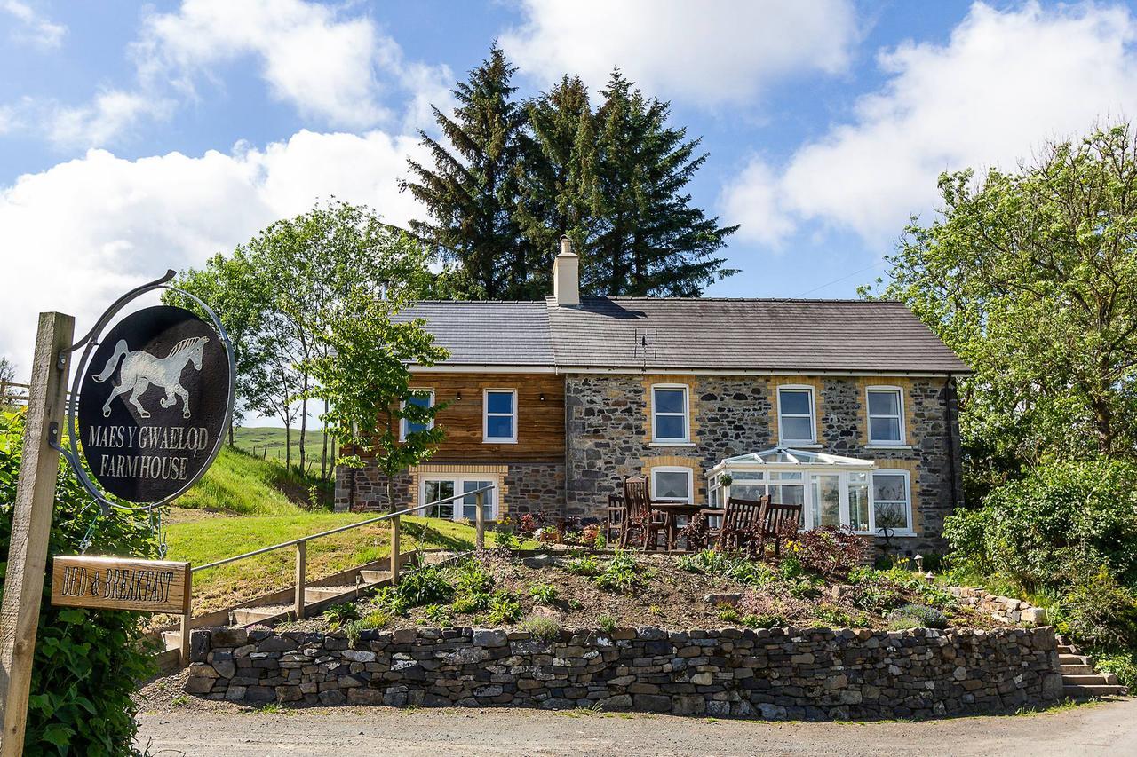 Maes Y Gwaelod Bed and Breakfast Llanwrtyd Wells Exteriör bild